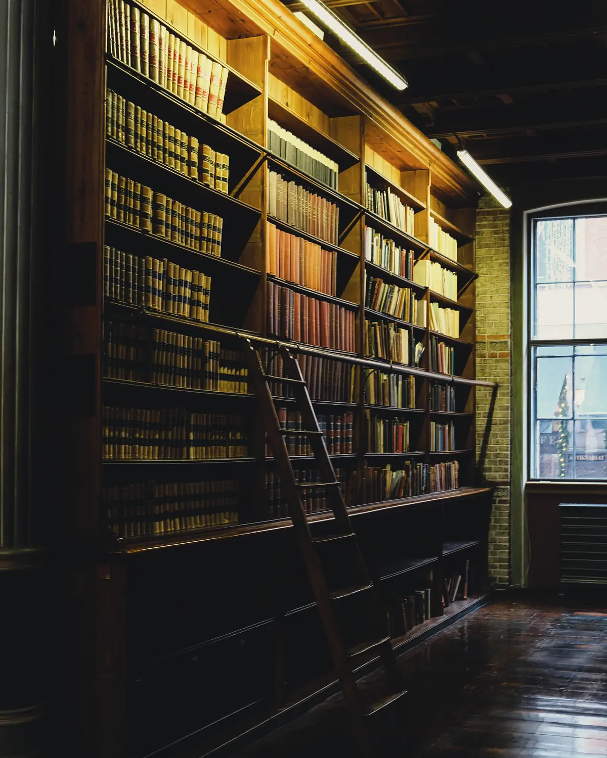 Tall wooden library shelves of old books with a rolling ladder